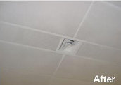 ceilingdoctor002024.jpg