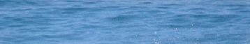 ceilingdoctor004005.gif