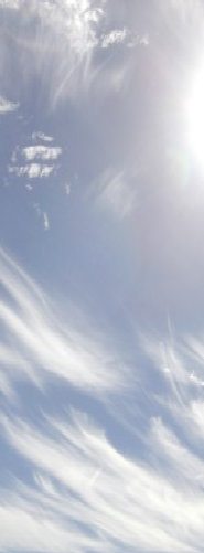 ceilingdoctor005013.jpg