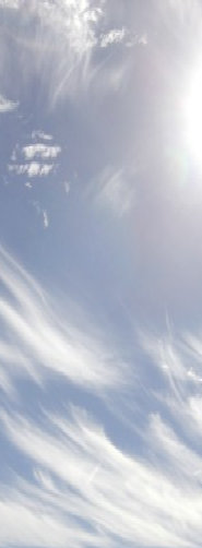 ceilingdoctor006018.jpg