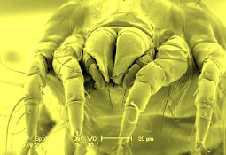 ceilingdoctor007021.jpg