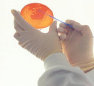 ceilingdoctor007032.jpg