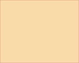 ceilingdoctor009006.gif