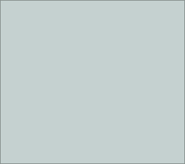 ceilingdoctor009026.gif