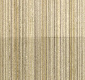 ceilingdoctor004038.jpg